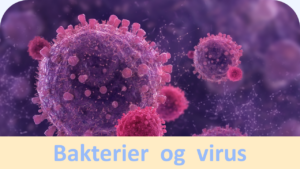 Du er her: Bakterier og virus