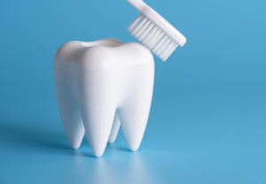 Modell av en tann, med en tannbørste.