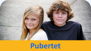 Pubertet