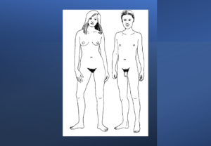 Tegning: To unge nakne mennesker, kvinne og mann.