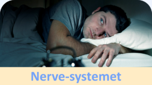 Du er her: nerve-systemet